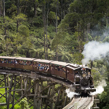 Macedon Mountain Range Day Tour